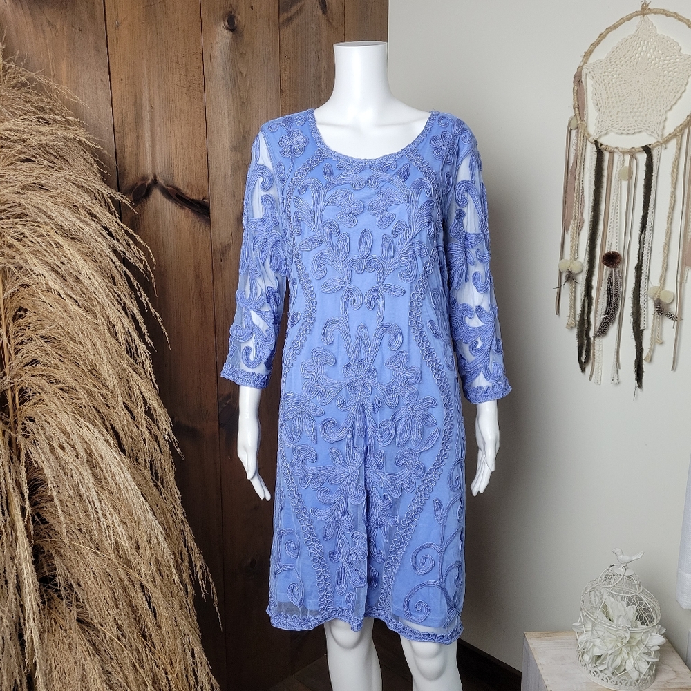 Lace Embroidered Dress